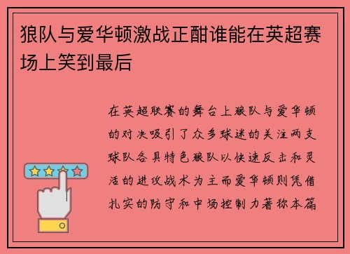 狼队与爱华顿激战正酣谁能在英超赛场上笑到最后