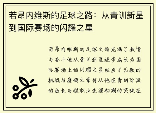 若昂内维斯的足球之路：从青训新星到国际赛场的闪耀之星