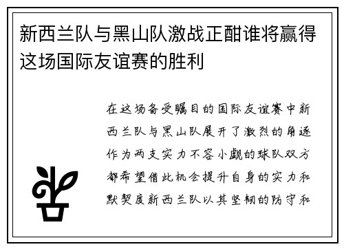新西兰队与黑山队激战正酣谁将赢得这场国际友谊赛的胜利